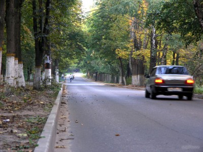 P9247886_.jpg