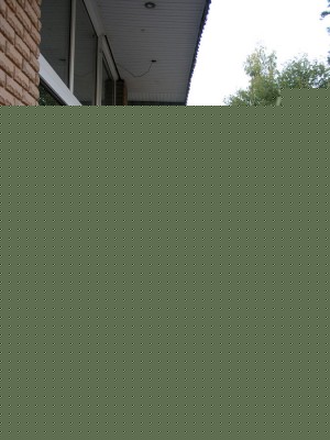 P9247890_.jpg