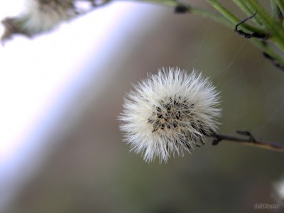 P9247924.jpg