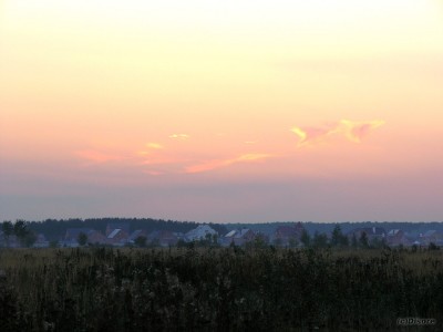 P9247925.jpg