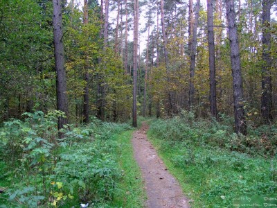 PA018100_.jpg