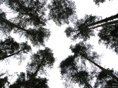 PA018106_.jpg