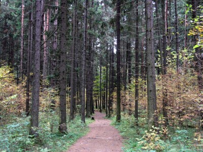 PA018109_.jpg