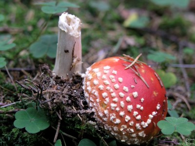 PA018113.jpg