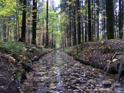 PA018118_.jpg