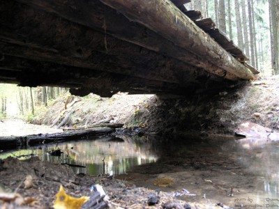 PA018122_.jpg