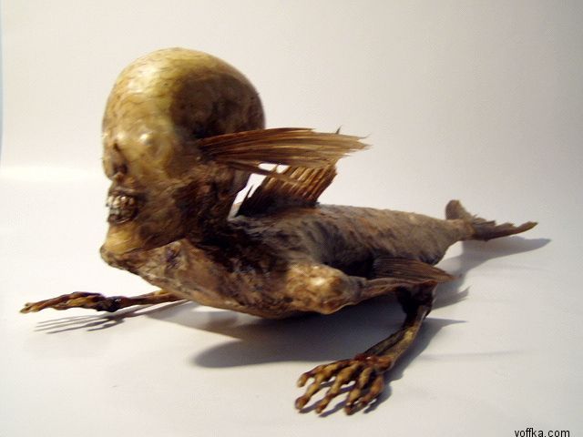 image1_1.jpg