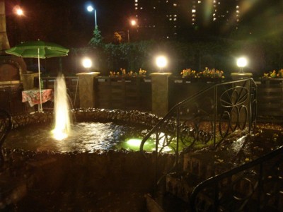 Лосинки.JPG