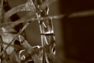 Mtb-1.jpg