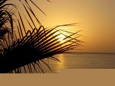 Resize of PICT0015.jpg