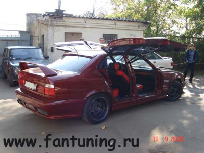 gull_wing_06.jpg