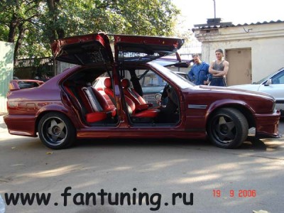 gull_wing_07.jpg