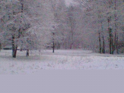 Resize of Image(045).jpg