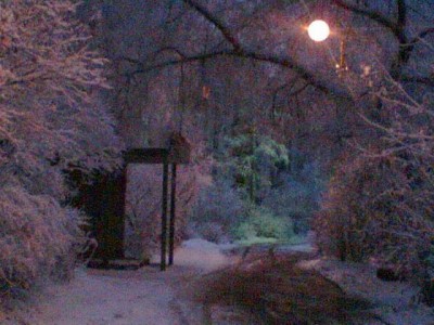Resize of Image(047).jpg