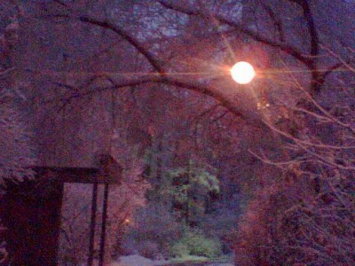 Resize of Image(048).jpg