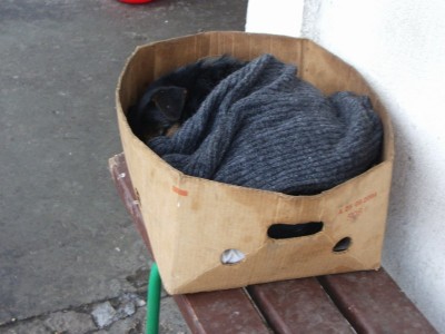 IMGP1616_изменение размера.JPG