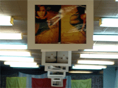 cult_smeh06111819.gif