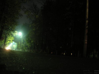 PA078379.jpg