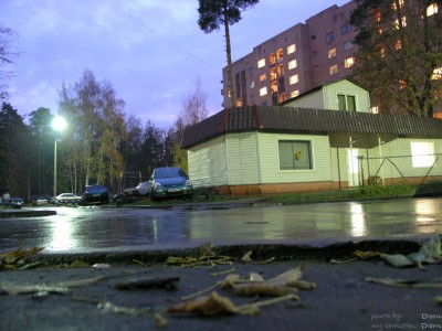 PA228622.jpg