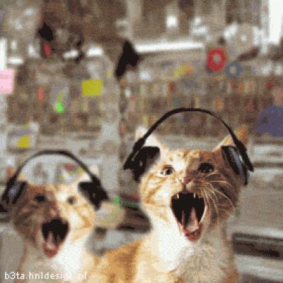 metal_cats.gif