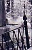 ghost_19.jpg