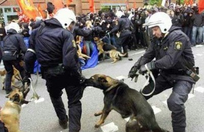 poputal-d4.jpg