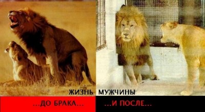 1117402711_do.jpg