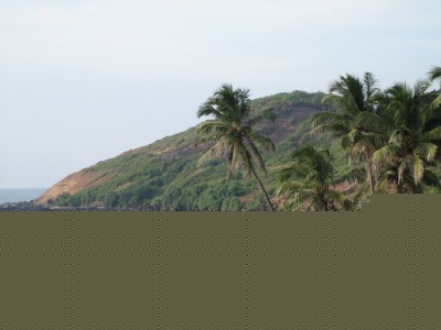 IMG_4475.jpg