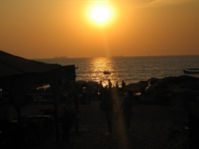IMG_4717.jpg