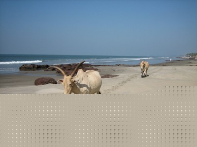 IMG_4803.jpg
