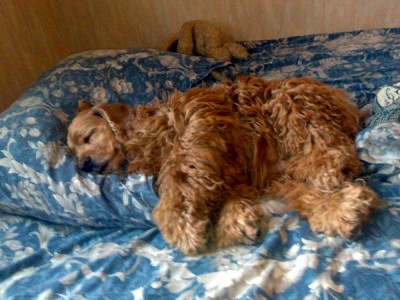 12012007046.jpg