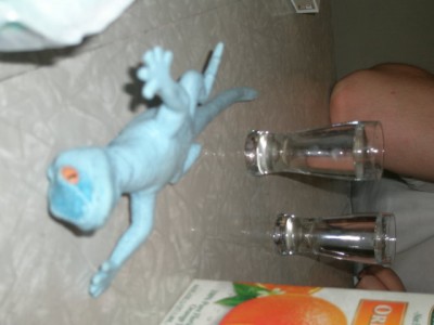 vot 4to delaet alkogol s yaweritsami.jpg