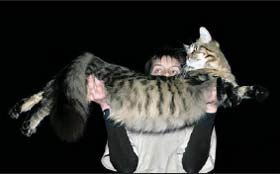 Кун.jpg