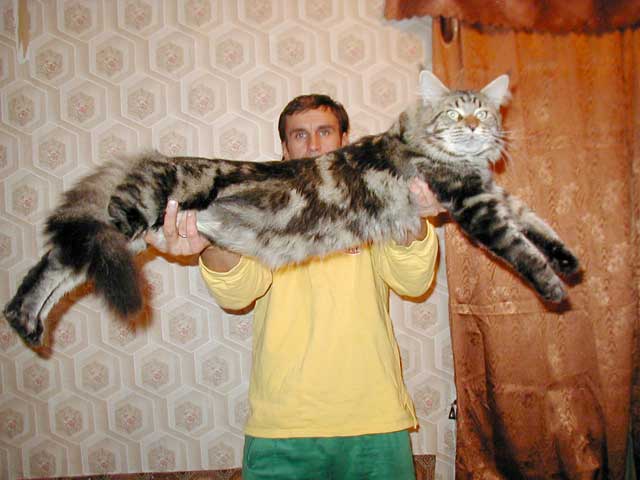 жЫвотное ))).jpg