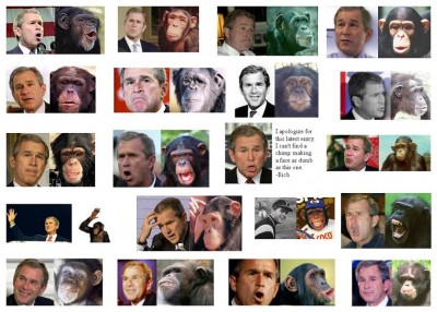 bush_new.jpg