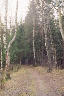 Resize of 27160026.JPG