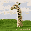 avatarka_ru_gif_089.gif