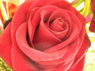 P3110007!!.JPG