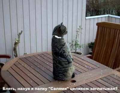 (извеняйте за мат)