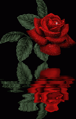 452_1174821986.gif_858.gif
