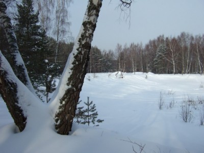 зимнее озеро.JPG