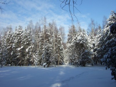сугробы.JPG