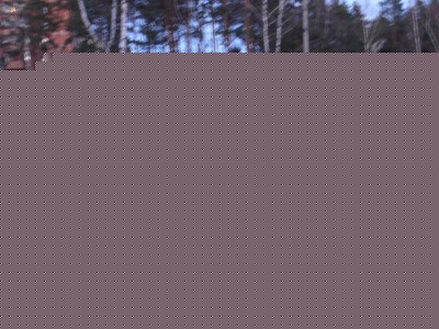 Photo 08.jpg
