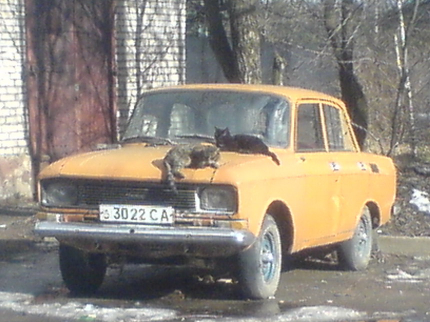 DSC00012.jpg