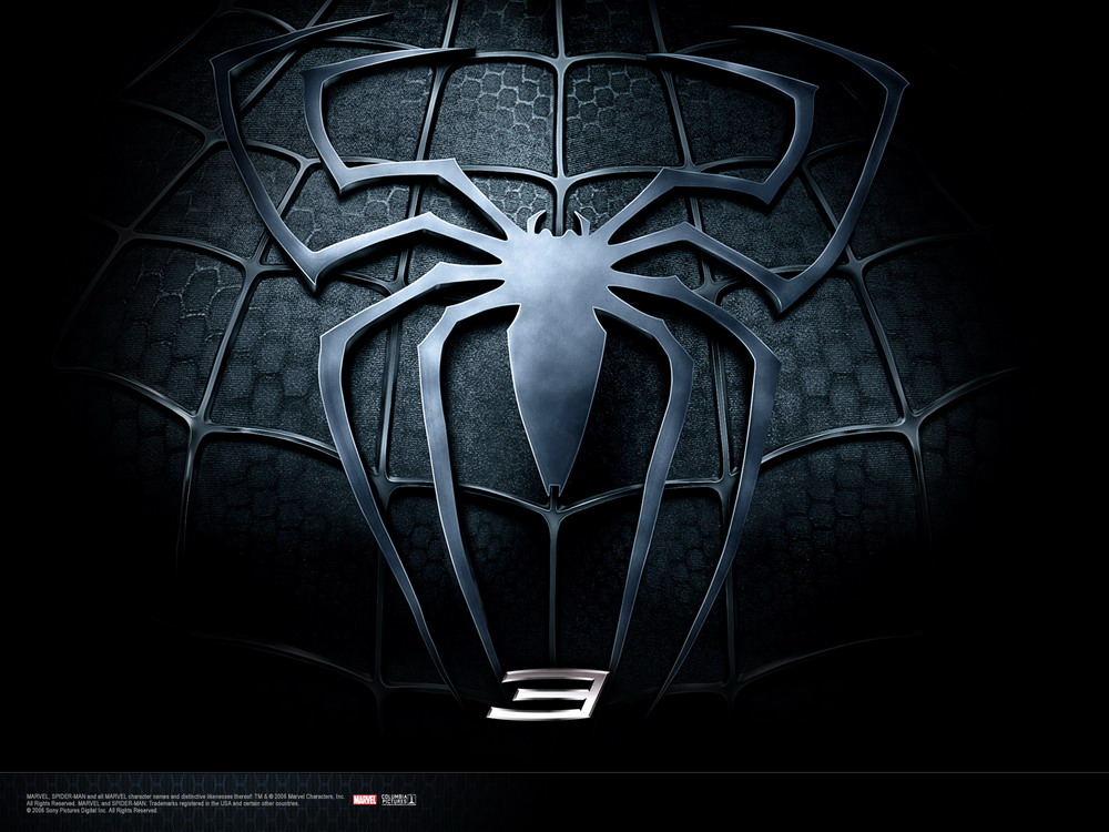 spider.jpg