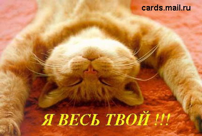 От Дэна.jpg