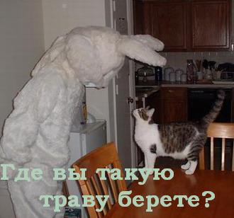 demon-1120079767_i_7221.jpg