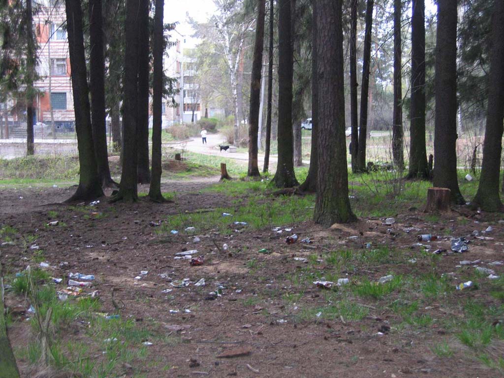 IMG_0014.jpg