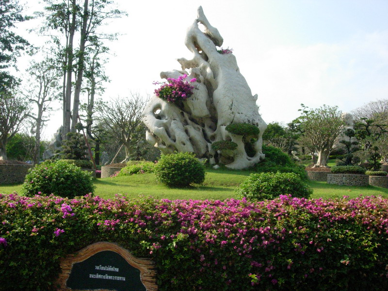 DSCN5035.jpg