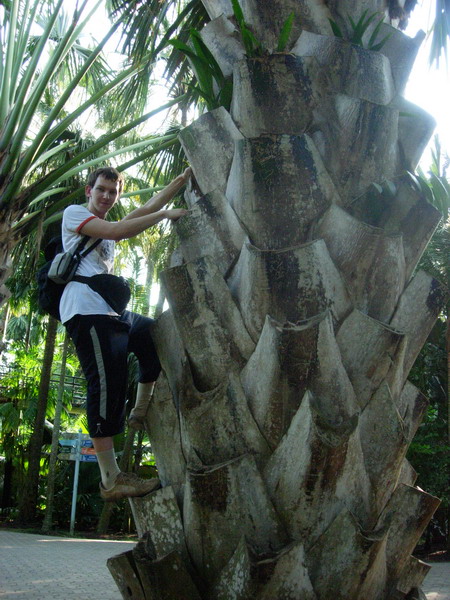 DSCN5352.jpg